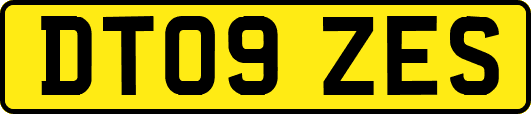 DT09ZES
