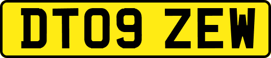 DT09ZEW