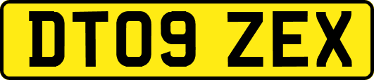 DT09ZEX