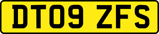 DT09ZFS