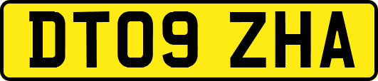 DT09ZHA