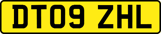 DT09ZHL