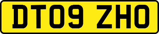 DT09ZHO
