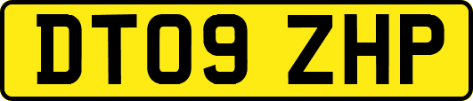 DT09ZHP