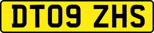DT09ZHS