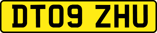 DT09ZHU
