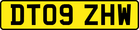 DT09ZHW