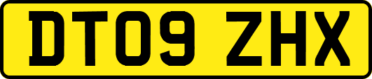DT09ZHX
