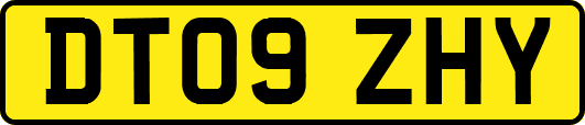 DT09ZHY