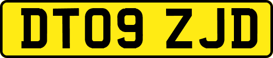 DT09ZJD