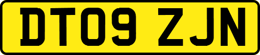 DT09ZJN