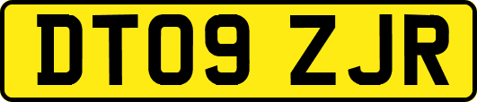 DT09ZJR