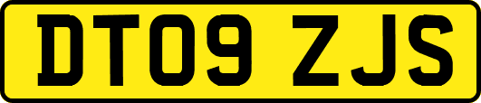 DT09ZJS