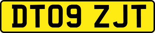 DT09ZJT