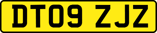 DT09ZJZ
