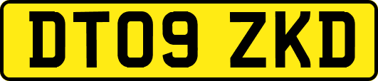 DT09ZKD