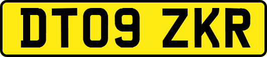 DT09ZKR