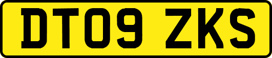 DT09ZKS