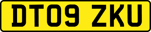 DT09ZKU