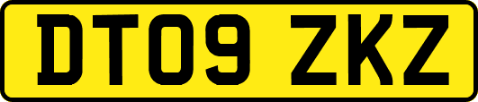 DT09ZKZ