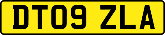DT09ZLA