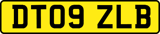 DT09ZLB