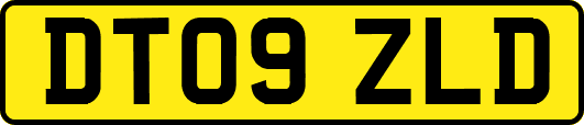 DT09ZLD
