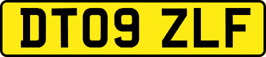 DT09ZLF
