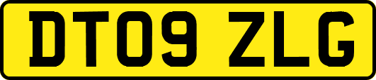 DT09ZLG
