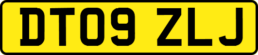DT09ZLJ