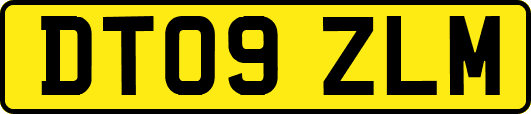 DT09ZLM