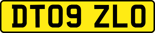 DT09ZLO