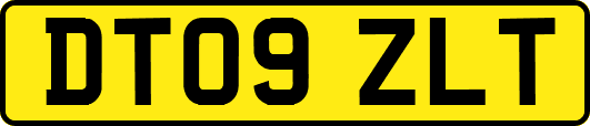 DT09ZLT