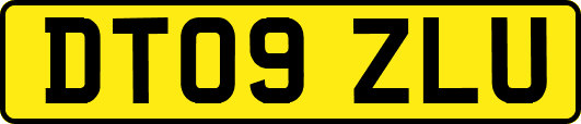 DT09ZLU