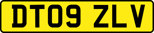 DT09ZLV