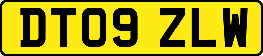 DT09ZLW