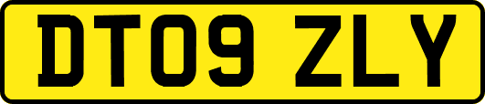 DT09ZLY
