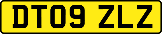 DT09ZLZ