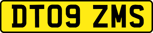 DT09ZMS