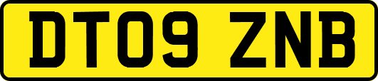 DT09ZNB