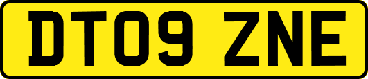 DT09ZNE