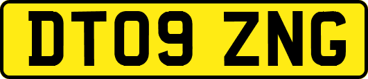 DT09ZNG