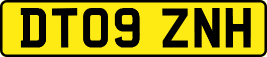 DT09ZNH