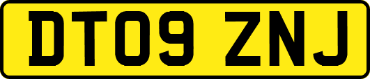 DT09ZNJ