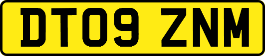 DT09ZNM