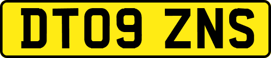 DT09ZNS