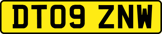 DT09ZNW