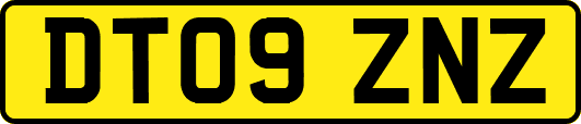 DT09ZNZ