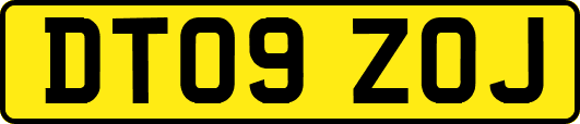 DT09ZOJ
