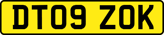 DT09ZOK